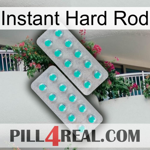 Instant Hard Rod 29